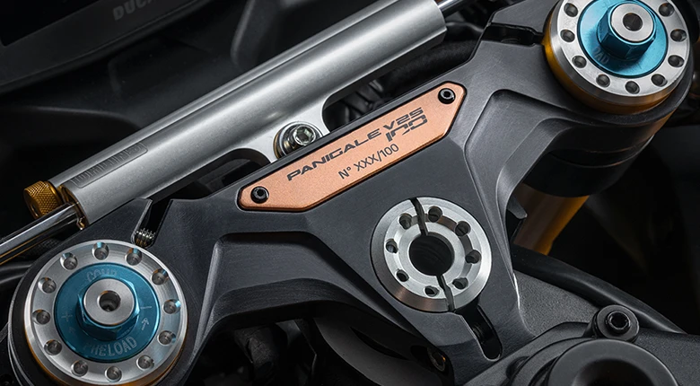 Panigale V2 S 100