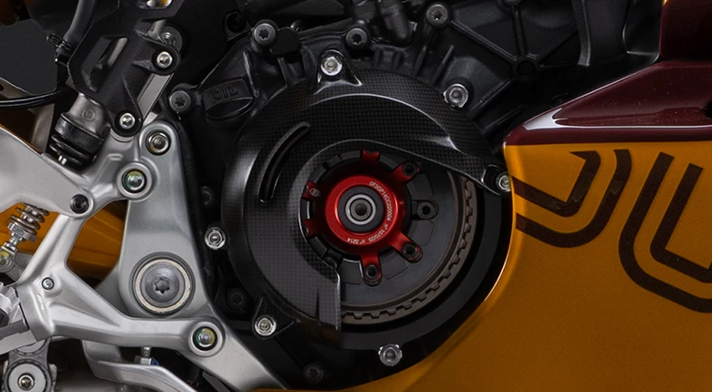 Panigale V2 S 100