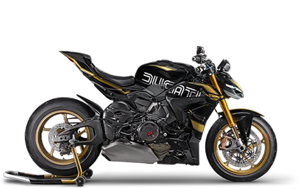 Streetfighter V4 S 100