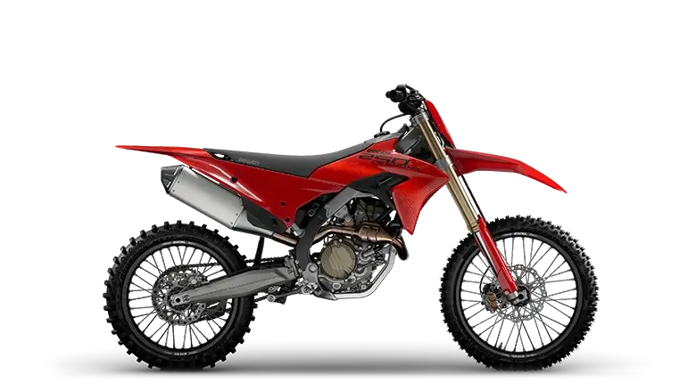 Desmo250 MX