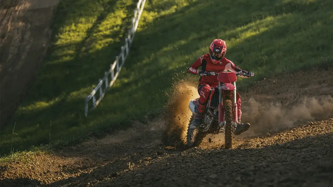 desmo250 mx