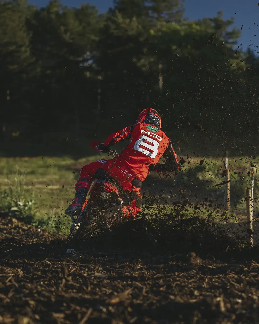 desmo450 eds