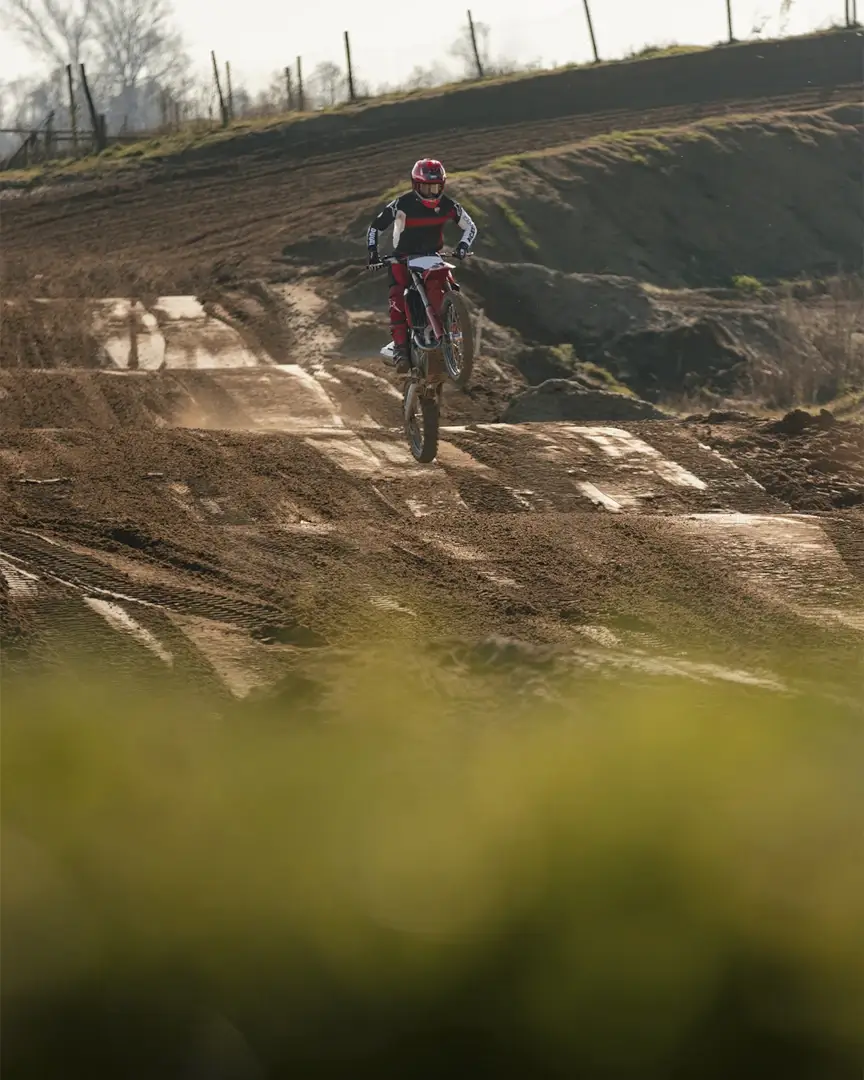 desmo450 mx factory